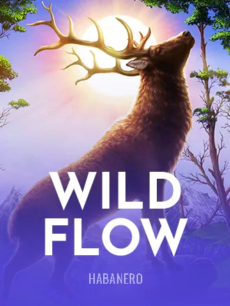 https://l4m6-cdn1-platform.cdn-in-flare.com/resources//media/games_images//the_ear_habanero/Wild_Flow_17987.png