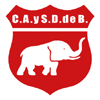 Participant logo